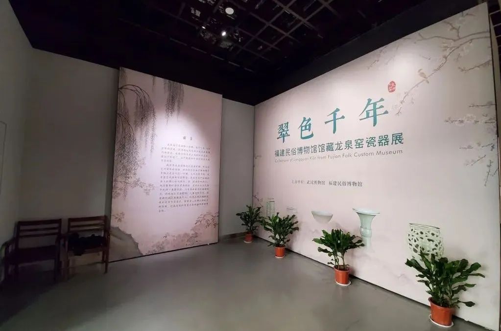 春暖花開，武漢不止有櫻花……(圖11)